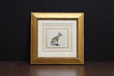 Lot 258 - An Indian painting of a Bengal fox (Vulpes bengalensis)