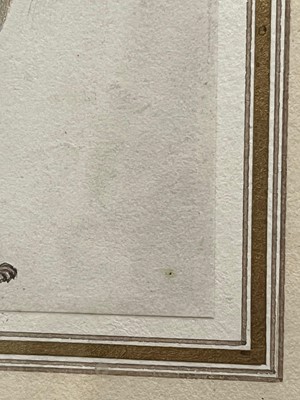 Lot 258 - An Indian painting of a Bengal fox (Vulpes bengalensis)