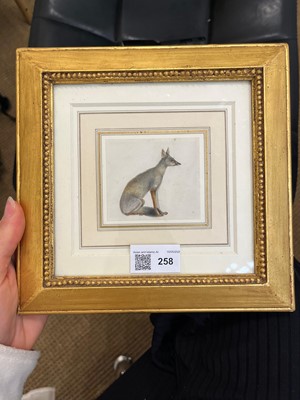 Lot 258 - An Indian painting of a Bengal fox (Vulpes bengalensis)