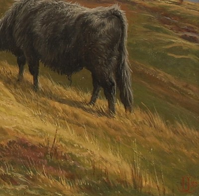 Lot 147 - Charles Jones (British, 1836-1902)