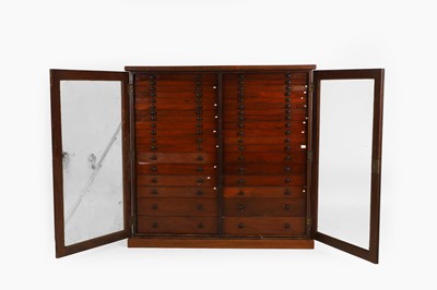 Lot 548 - A Regency mahogany collector's specimen cabinet