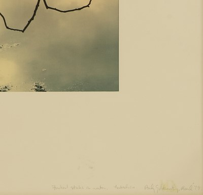 Lot 331 - Andy Goldsworthy OBE (British, b.1956)