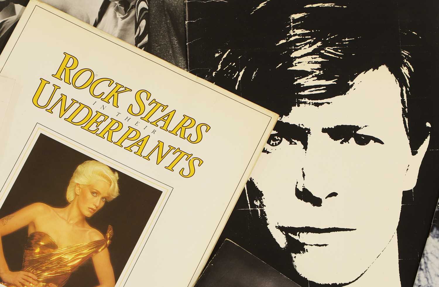 Lot 21 - 'Rock Stars In Their Underpants'