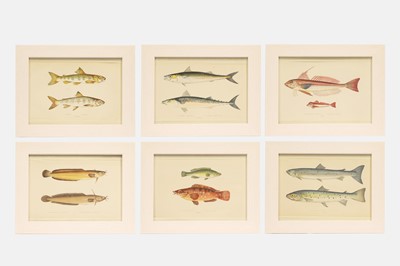 Lot 264 - After Jonathan Couch