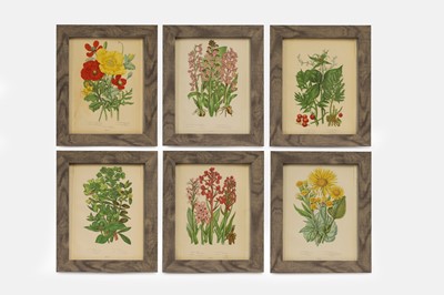 Lot 664 - After Anne Pratt