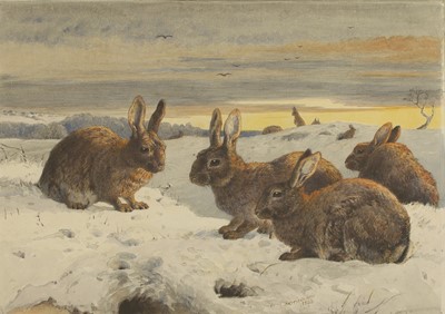 Lot 385 - Harrison Weir RI (British, 1824-1906)