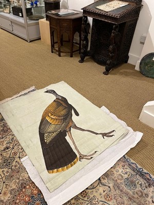 Lot 256 - A large Indian painting of a wild turkey (Meleagris gallopavo)