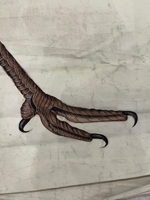 Lot 256 - A large Indian painting of a wild turkey (Meleagris gallopavo)
