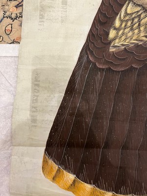 Lot 256 - A large Indian painting of a wild turkey (Meleagris gallopavo)