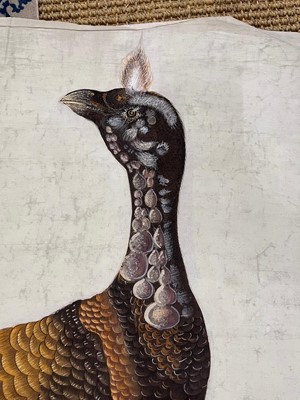 Lot 256 - A large Indian painting of a wild turkey (Meleagris gallopavo)