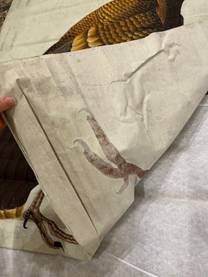 Lot 256 - A large Indian painting of a wild turkey (Meleagris gallopavo)