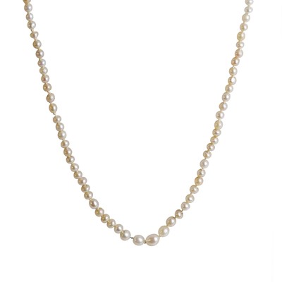 Lot 14 - A natural saltwater pearl necklace