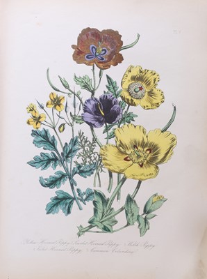 Lot 255 - Loudon, Mrs J B: British wild flowers.
