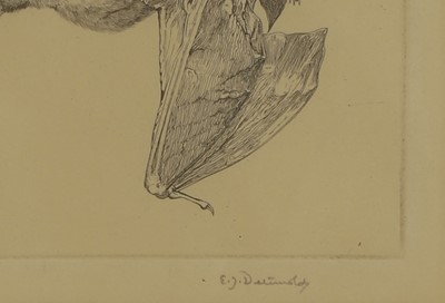 Lot 397 - Edward Julius Detmold (British, 1883-1957) and Maurice Detmold (British, 1883-1908)