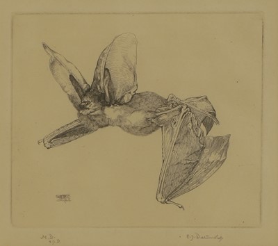 Lot 397 - Edward Julius Detmold (British, 1883-1957) and Maurice Detmold (British, 1883-1908)