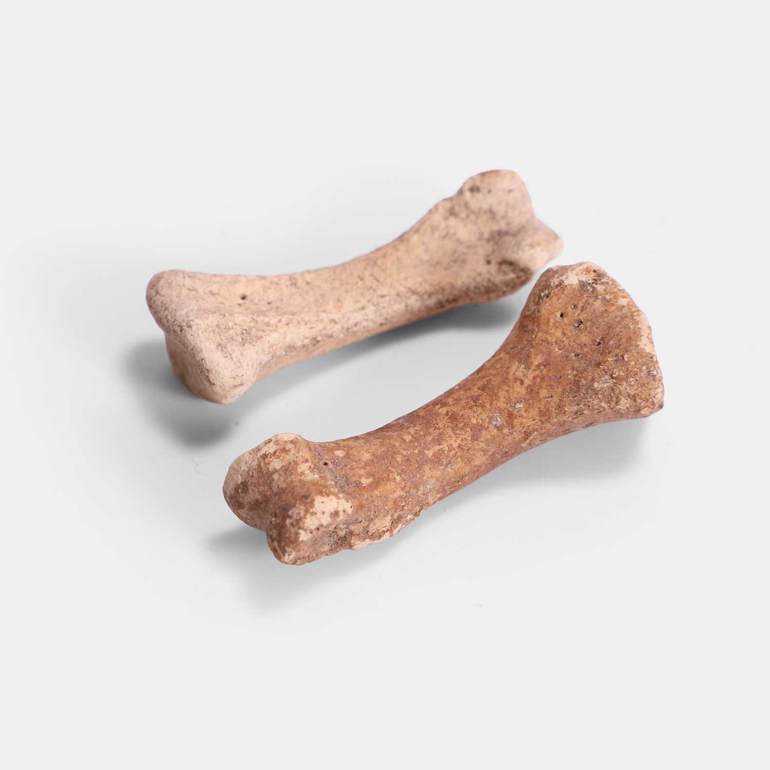 Lot 50 - Two dodo foot bones