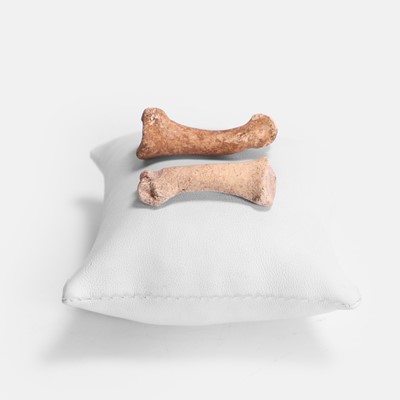 Lot 50 - Two dodo foot bones