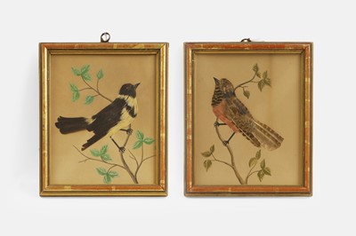 Lot 619 - A pair of feather pictures