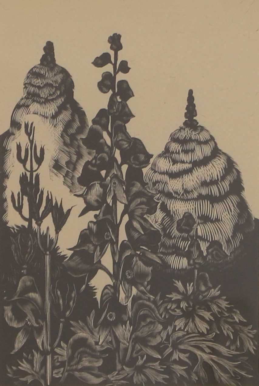 Lot 73 - John Nash RA (British, 1893-1977)