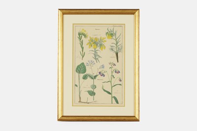 Lot 74 - After David Dietrich
