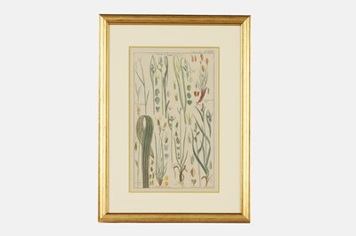Lot 74 - After David Dietrich