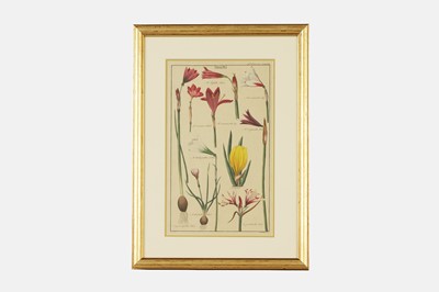 Lot 74 - After David Dietrich
