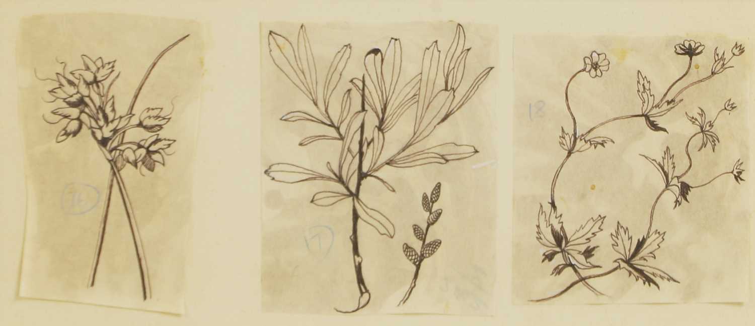 Lot 162 - John Nash RA (British, 1893-1977)