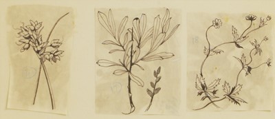 Lot 162 - John Nash RA (British, 1893-1977)