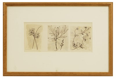 Lot 162 - John Nash RA (British, 1893-1977)