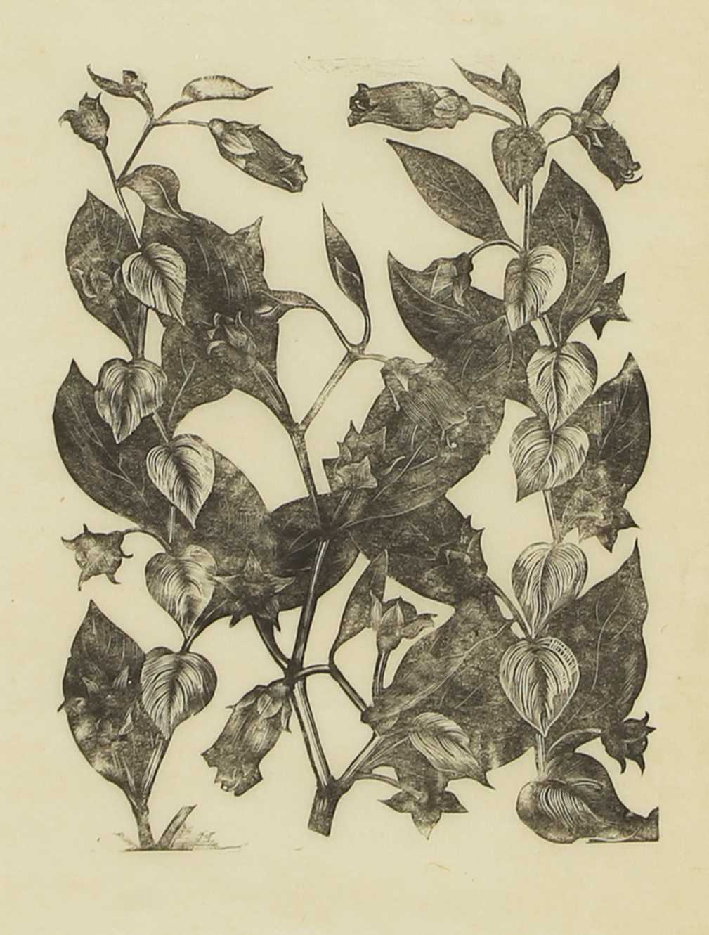 Lot 164 - John Nash RA (British, 1893-1977)