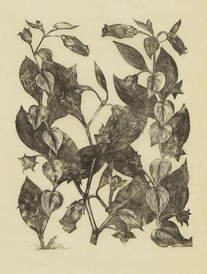 Lot 164 - John Nash RA (British, 1893-1977)