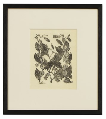 Lot 164 - John Nash RA (British, 1893-1977)