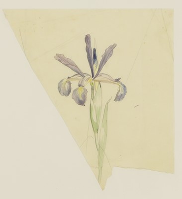 Lot 195 - John Nash RA (British, 1893-1977)