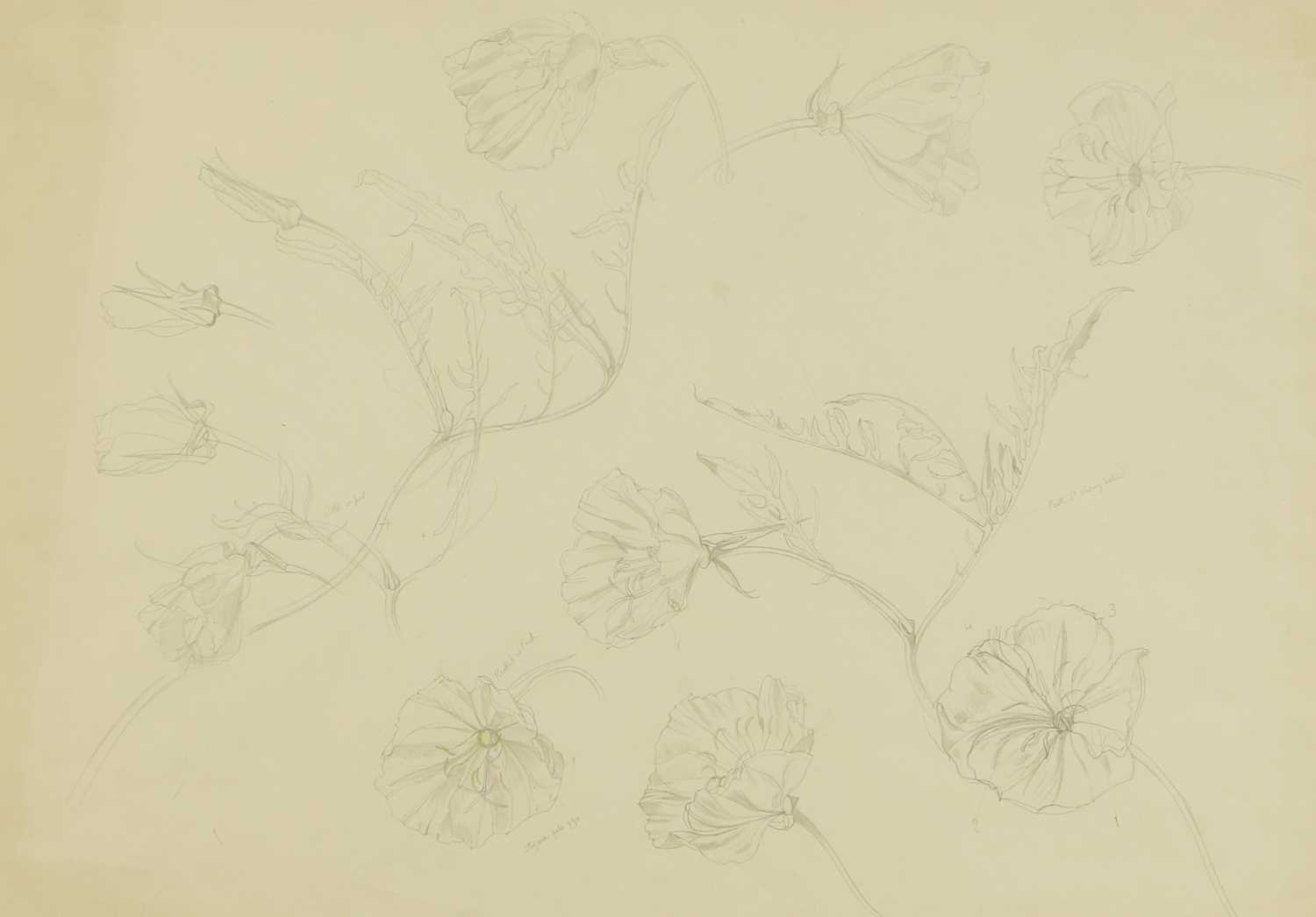 Lot 163 - John Nash RA (British, 1893-1977)