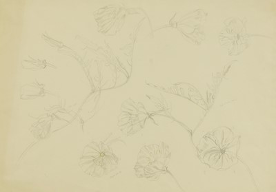 Lot 163 - John Nash RA (British, 1893-1977)