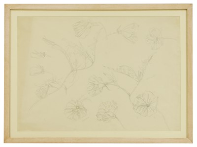 Lot 163 - John Nash RA (British, 1893-1977)