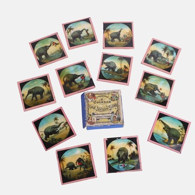 Lot 480 - A set of twelve magic lantern slides, 'The Elephant's Revenge'
