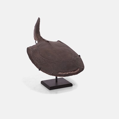 Lot 466 - A fine plaster model of a Drepanaspis