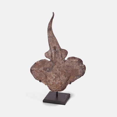 Lot 467 - A fine painted plaster model of a Gemuendina