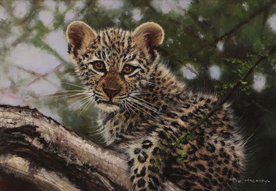 Lot 127 - Pip McGarry (British, b.1955)