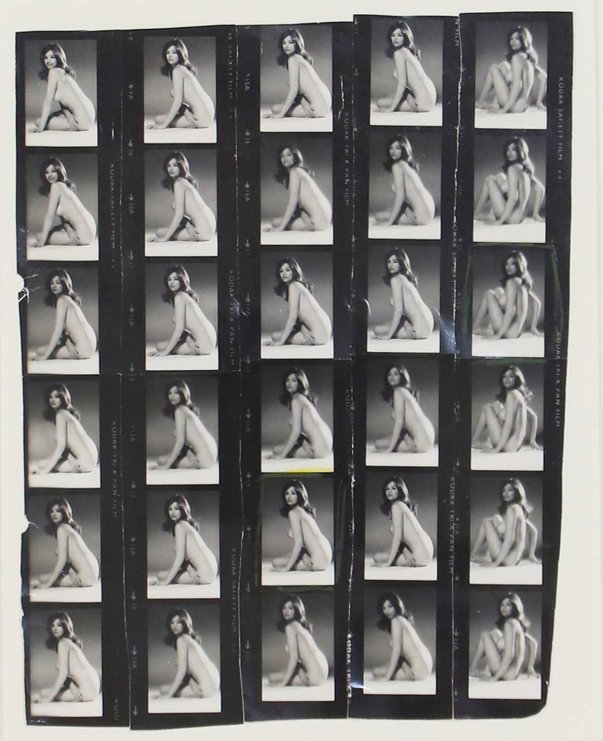 Lot 150 - David Bailey (British, b.1938)