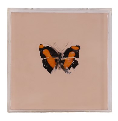 Lot Damien Hirst (British, b.1965)