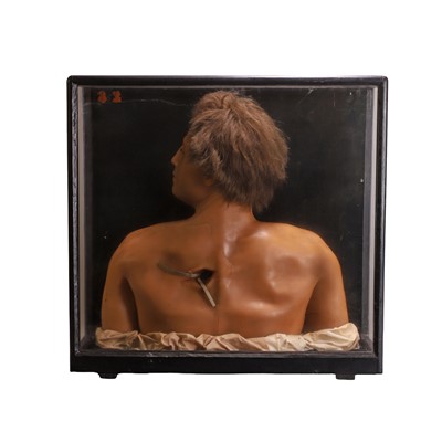 Lot 311 - A medical diorama