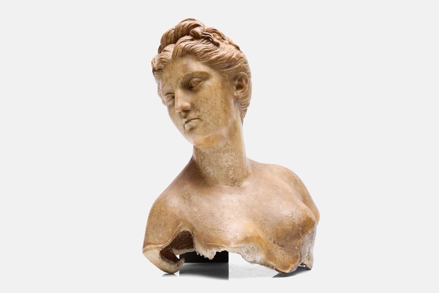 Lot 75 - A wax bust of Diana