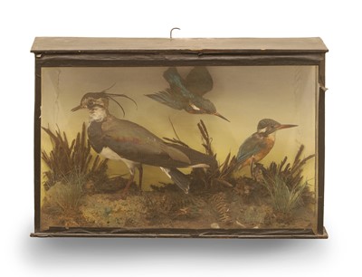 Lot 361 - A Group of three birds