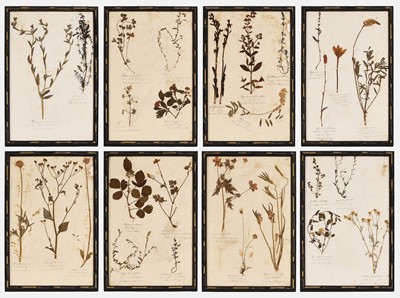 Lot 396 - A set of eight Victorian pressed-flower herbarium pictures
