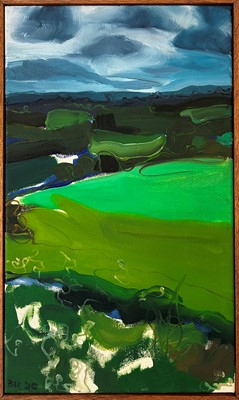 Courtney Bae (Korean-American, b.1986)