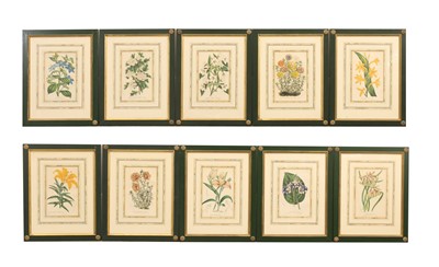 Lot 312 - A series of ten botanical lithographs