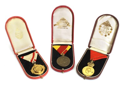 Lot 396 - Three Austro-Hungarian medals